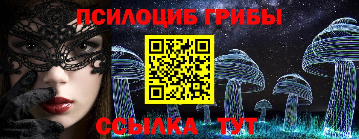 Псилоцибиновые грибы Cubensis Димитровград