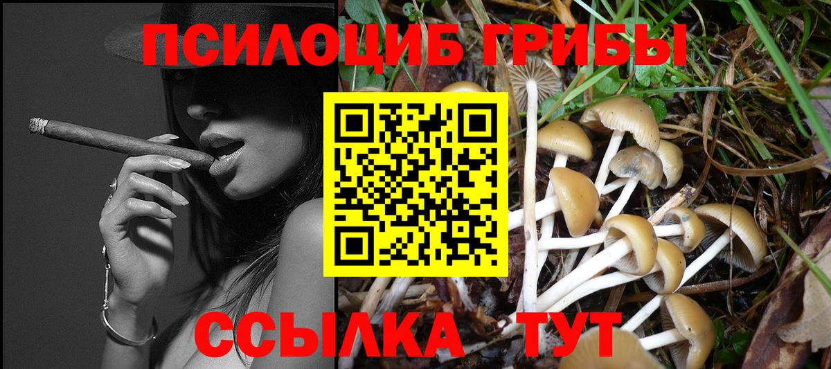Димитровград  Псилоцибиновые грибы мицелий  Вход с VPN 