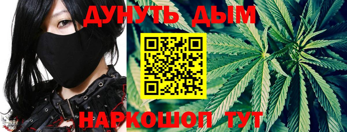 Димитровград  Марихуана Ganja  Шишки марихуана план  Вход с VPN 